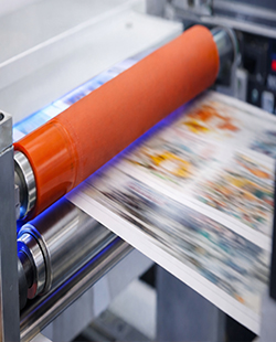 Flexo Printing Machine